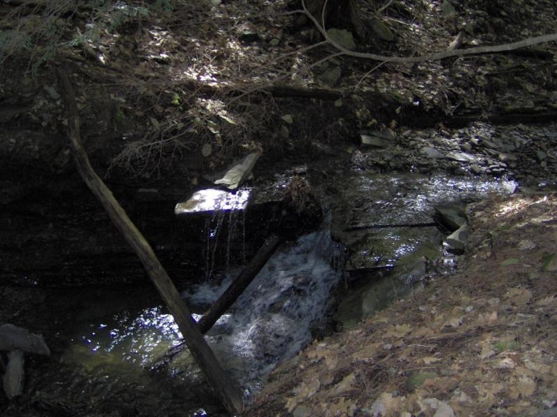 FLNF Gorge Trail